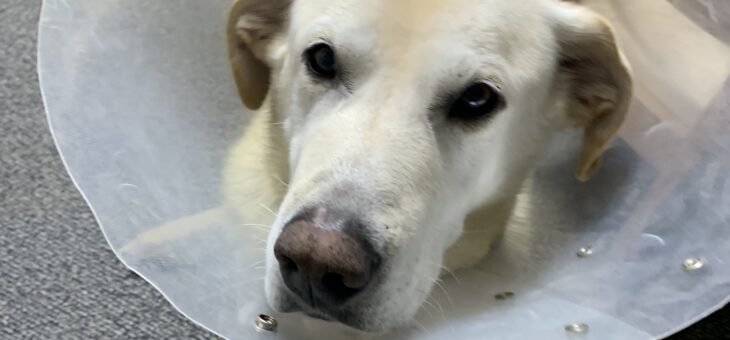 フリーで朝まで