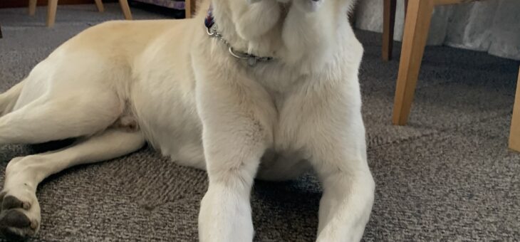 暖かくて　ホッとする日